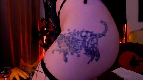 Media: li__na Myfreecams Invalid Date