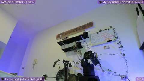Media: catelinecane Myfreecams Invalid Date