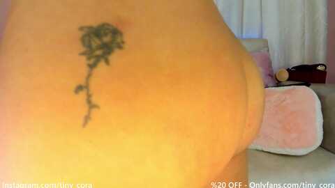 Media: tiny_cora Myfreecams Invalid Date