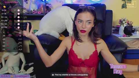 Media: tamararay Myfreecams Invalid Date