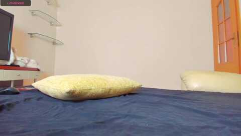 yes_sir @ myfreecams on 20231110