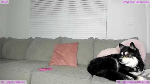 Media: belphoebe Myfreecams Invalid Date