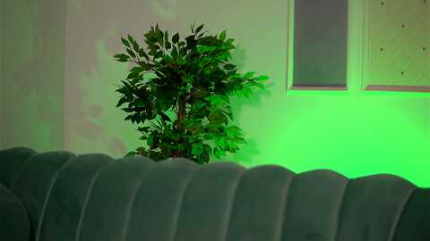 Media: blackcloverx Myfreecams Invalid Date