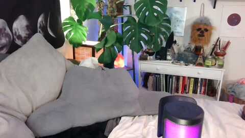 Media: lunarlexxx Myfreecams Invalid Date