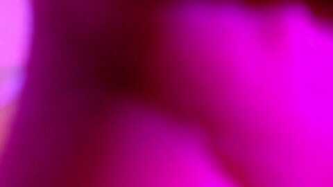 Media: kamila__ Myfreecams Invalid Date