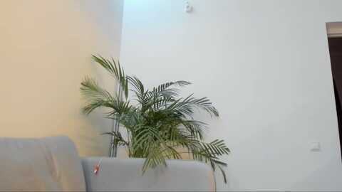Media: dream_wife Myfreecams Invalid Date