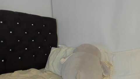 Media: ebonygolds Myfreecams Invalid Date