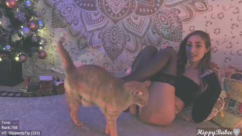 Media: hippybabee Myfreecams Invalid Date