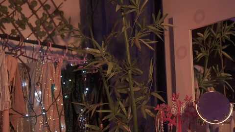 Media: amy_starfire Myfreecams Invalid Date