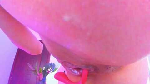 Media: alyssa_smit Myfreecams Invalid Date