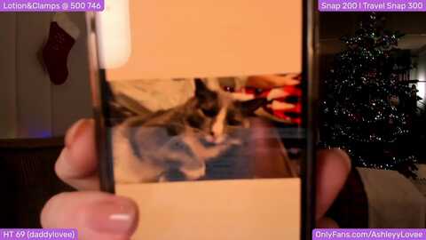 Media: ashleylove Myfreecams Invalid Date