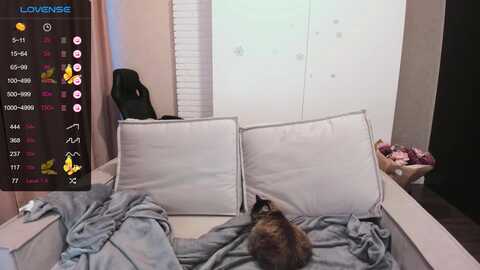 Media: hollymollyy Myfreecams Invalid Date