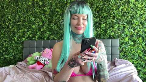 Media: bostonxiii Myfreecams Invalid Date