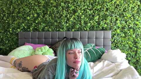 Media: bostonxiii Myfreecams Invalid Date
