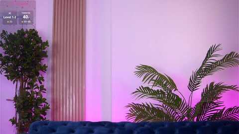 Media: evakeen Myfreecams Invalid Date