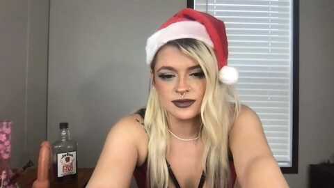 msbrandyjack @ myfreecams on 20231222