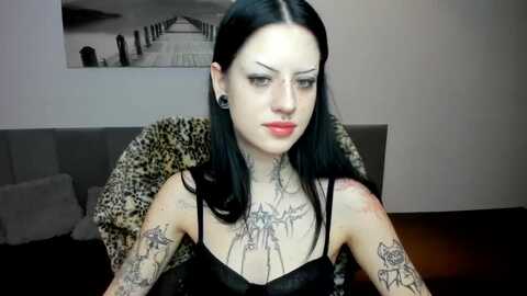 sapphhhire @ myfreecams on 20231222