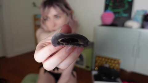 Media: lil_blueberry Myfreecams Invalid Date