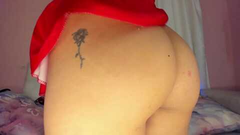 Media: tiny_cora Myfreecams Invalid Date