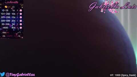 gabriellaluis @ myfreecams on 20231226
