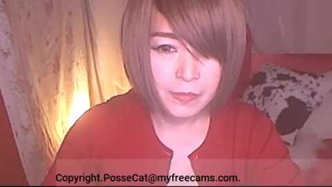 Media: possecat Myfreecams Invalid Date