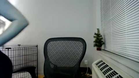 viverdure @ myfreecams on 20231231