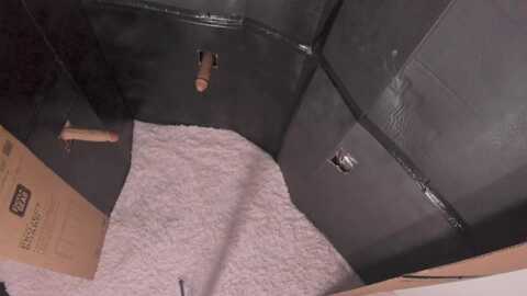 Media: naomidee Myfreecams Invalid Date