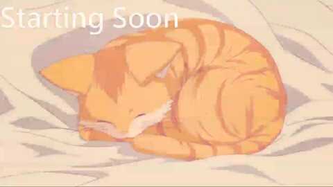 Media: kitty Myfreecams Invalid Date