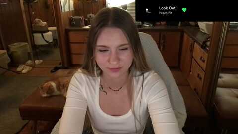 Media: incognitobabe Myfreecams Invalid Date