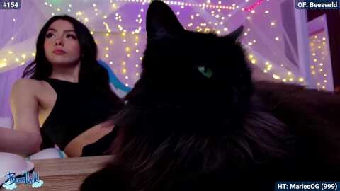 Media: beeswrld Myfreecams Invalid Date