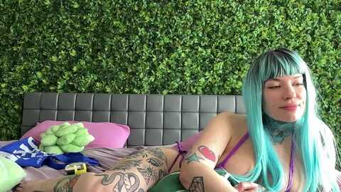 Media: bostonxiii Myfreecams Invalid Date