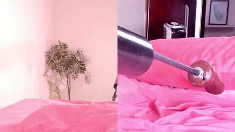 Media: mandy_rose_ Myfreecams Invalid Date