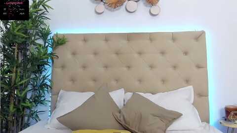 daliyahabibi @ myfreecams on 20240110