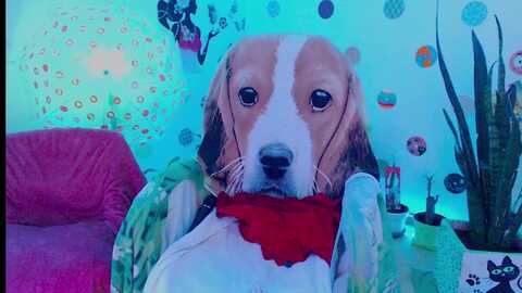samy_love31 @ myfreecams on 20240110