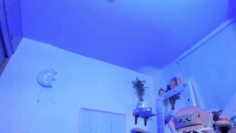 Media: kokoro_9 Myfreecams Invalid Date