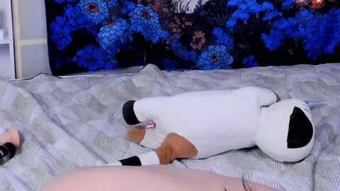 Media: milly_saint Myfreecams Invalid Date