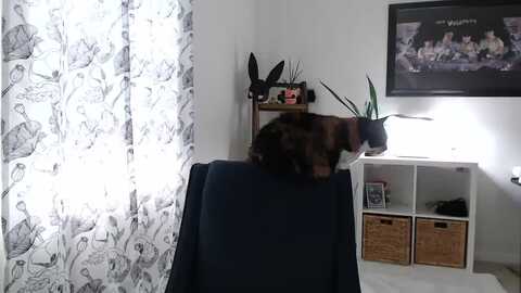 Media: sarah_stark Myfreecams Invalid Date