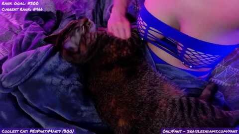Media: braisleeadams Myfreecams Invalid Date
