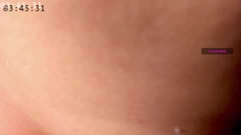 Media: elysi_ Myfreecams Invalid Date