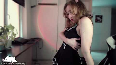 Media: meowlexx Myfreecams Invalid Date
