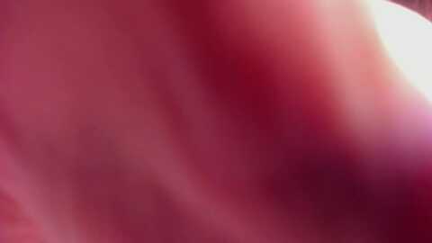 Media: alicexsweet Myfreecams Invalid Date