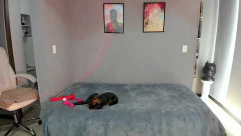 Media: jade7777 Myfreecams Invalid Date