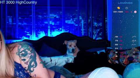 Media: rose_kitten Myfreecams Invalid Date