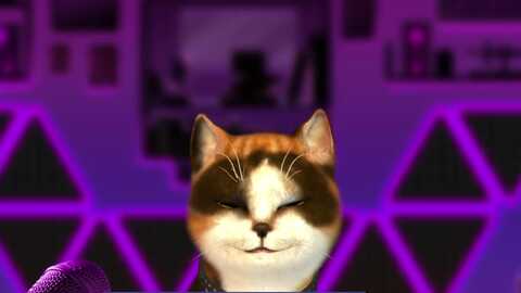 Media: meows Myfreecams Invalid Date