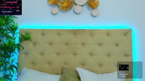 daliyahabibi @ myfreecams on 20240227