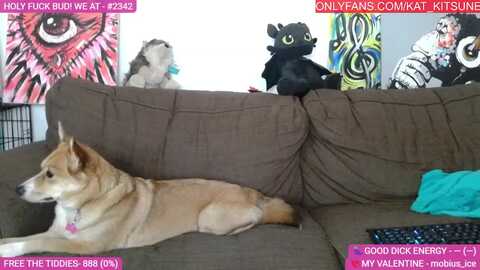 Media: kat_kitsune Myfreecams Invalid Date