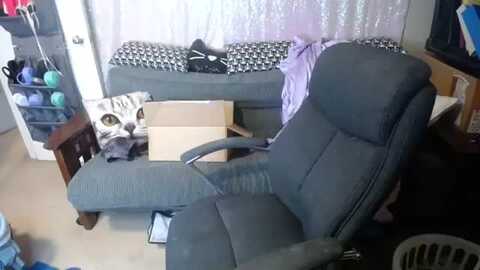 Media: ameliaelendil Myfreecams Invalid Date
