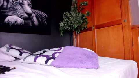 anahi_18 @ myfreecams on 20240302