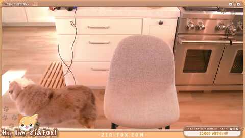 Media: ziafox Myfreecams Invalid Date