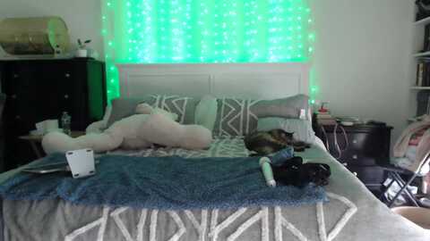 christy_love @ myfreecams on 20240307